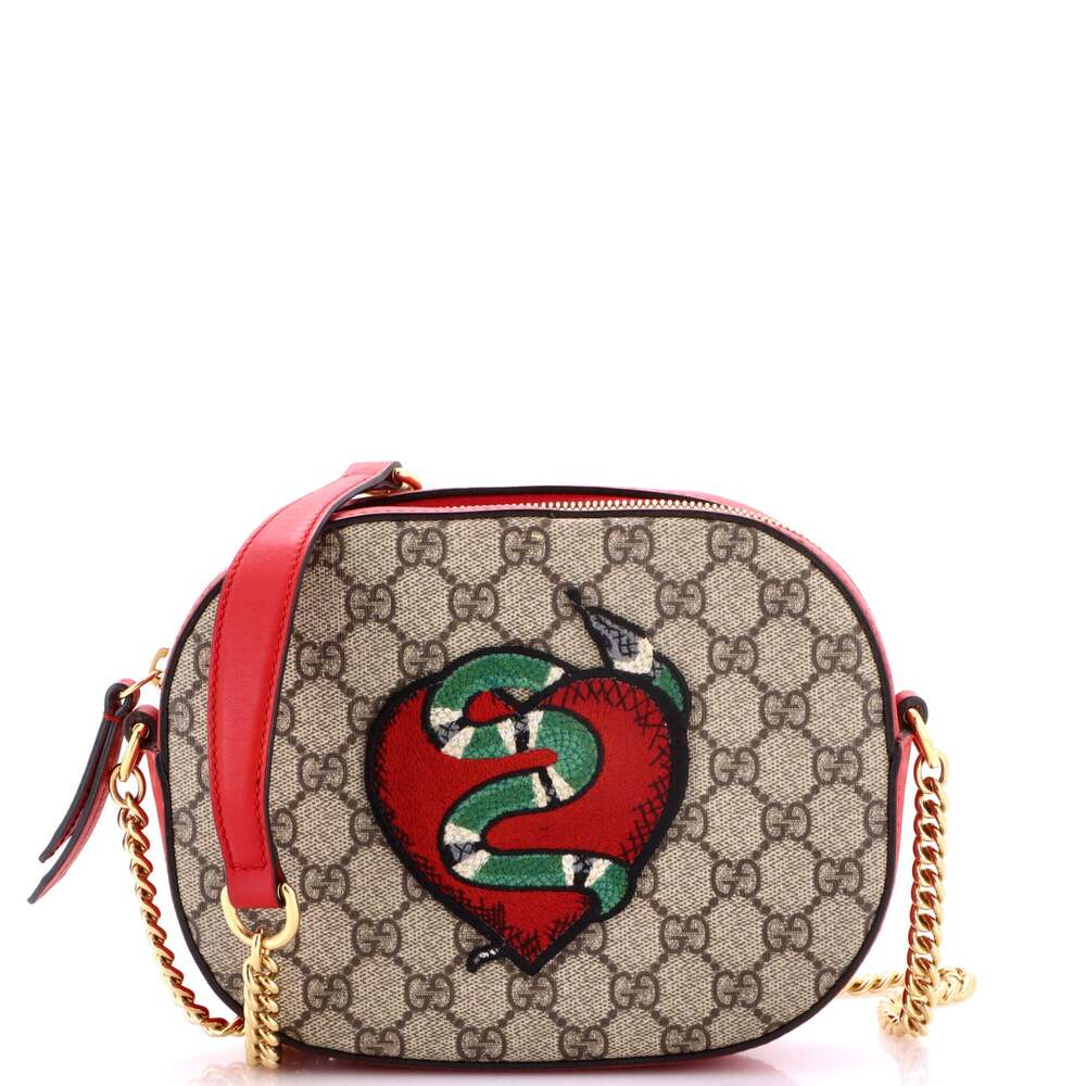 Gucci Chain Crossbody Bag Embroidered #293258G12B